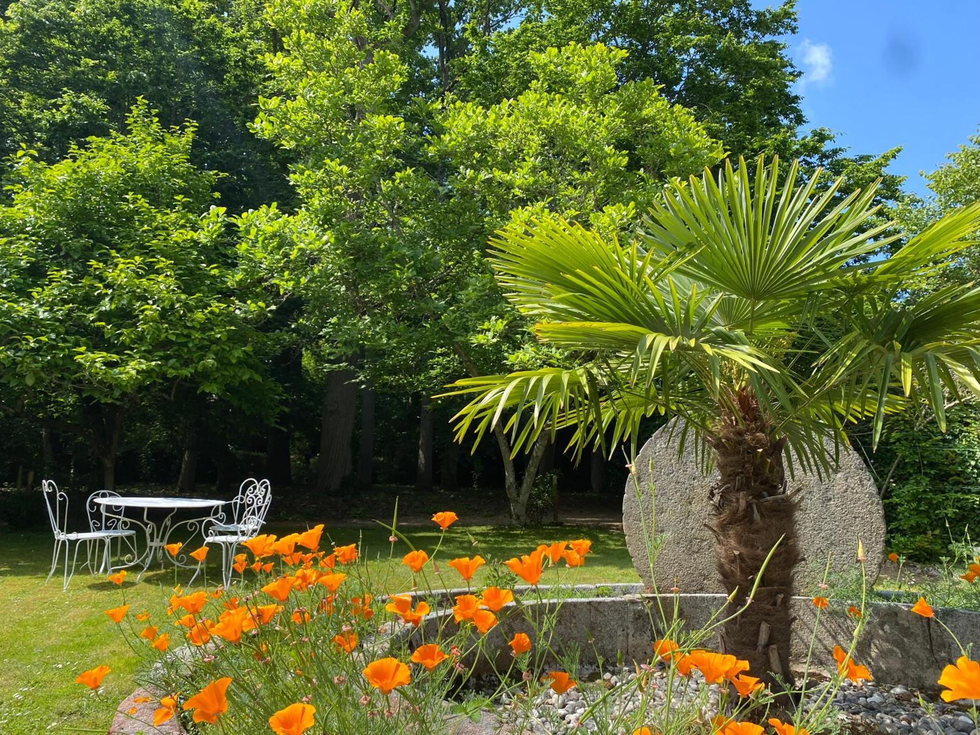 Hotel Manoir Du Parc (Adults Only) Amboise Zewnętrze zdjęcie